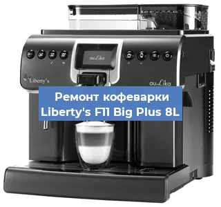 Декальцинация   кофемашины Liberty's F11 Big Plus 8L в Ростове-на-Дону